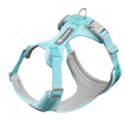 H807New style non-edged harness for small and medium dogs