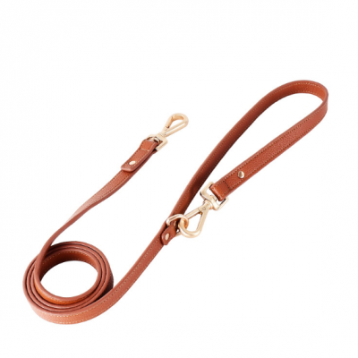 L214High-end multifunctional leather waterproof pet leash for medium and large dogs