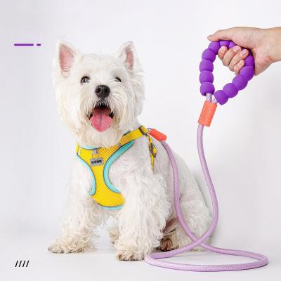 How often should a pet leash be replaced?