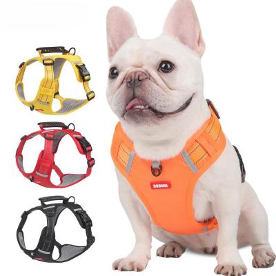 Pet Harness Usage Scenarios